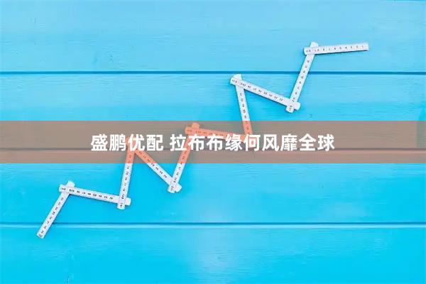 盛鹏优配 拉布布缘何风靡全球