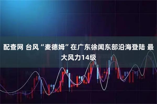 配查网 台风“麦德姆”在广东徐闻东部沿海登陆 最大风力14级