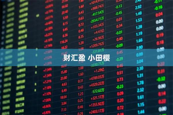 财汇盈 小田樱